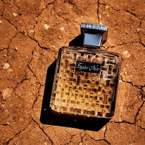HOUBIGANT Figuier Noir - Eau de Parfum 0711658441403 HOUBIGANT Figuier Noir - Eau de Parfum 0711658441403